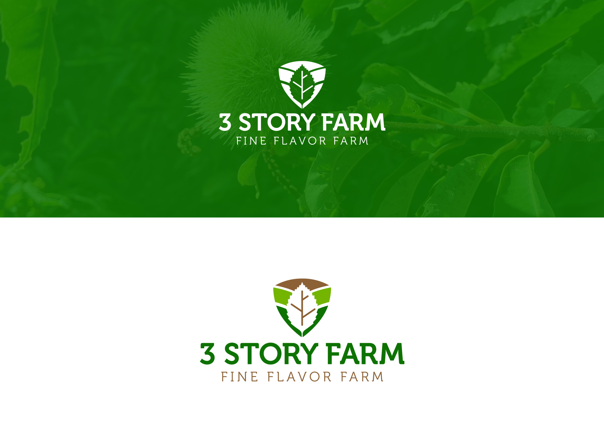 Diseño de Logo por damakyjr para este proyecto | Diseño #36268803