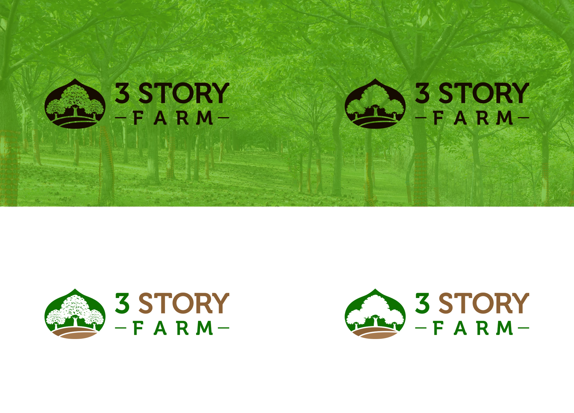 Diseño de Logo por damakyjr para este proyecto | Diseño #36276149