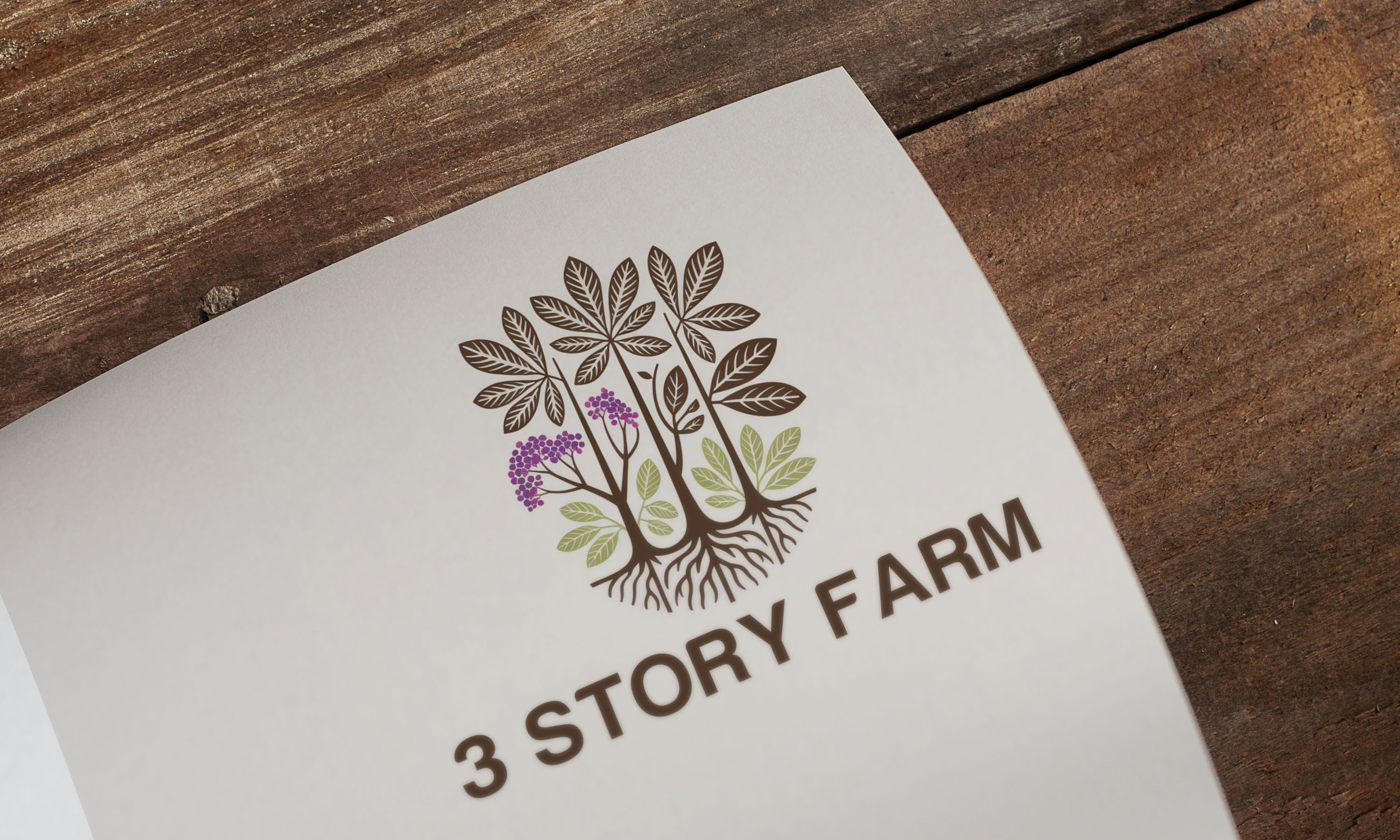 Diseño de Logo por Loin008 para este proyecto | Diseño #36270052