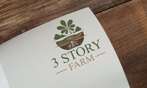 Diseño de Logo por Loin008 para este proyecto | Diseño: #36276066