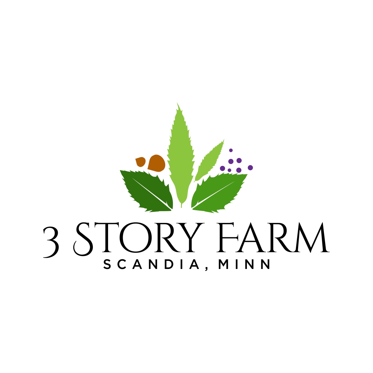 Diseño de Logo por fly  design para este proyecto | Diseño #36275763