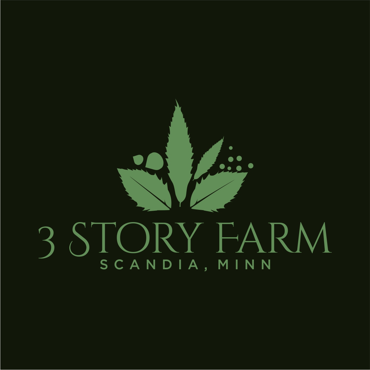 Diseño de Logo por fly  design para este proyecto | Diseño #36275764