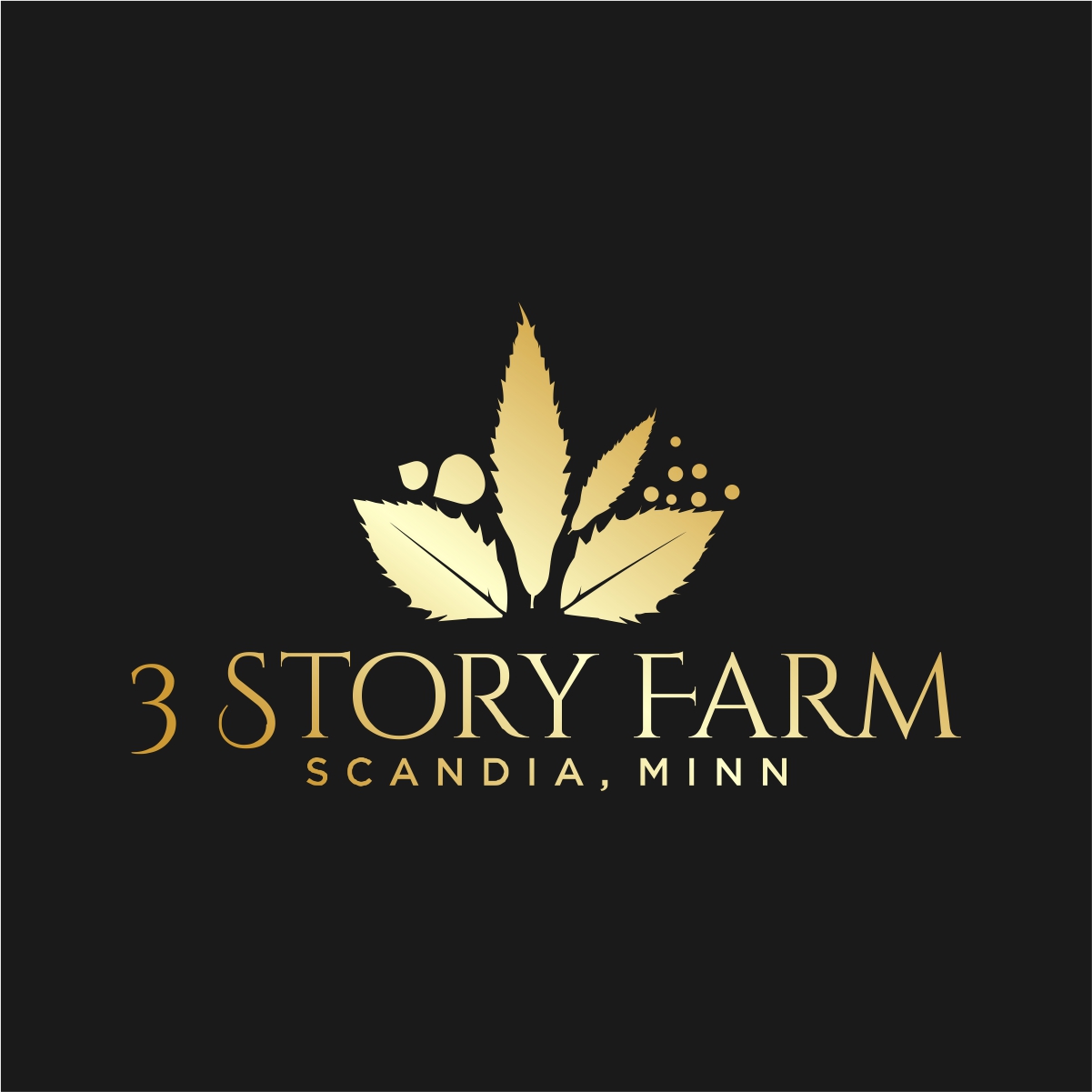 Diseño de Logo por fly  design para este proyecto | Diseño #36275767