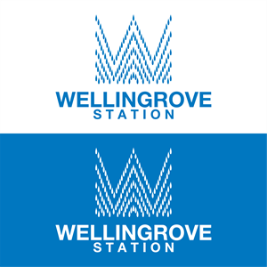 Logo Design by diego costa for this project | Design: #36267949