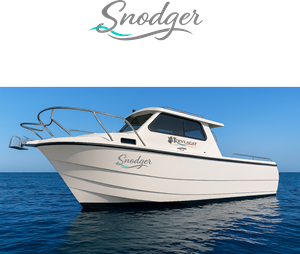 Design de Logo par kolevvp pour All Volt Electrical Services | Design : #36283672