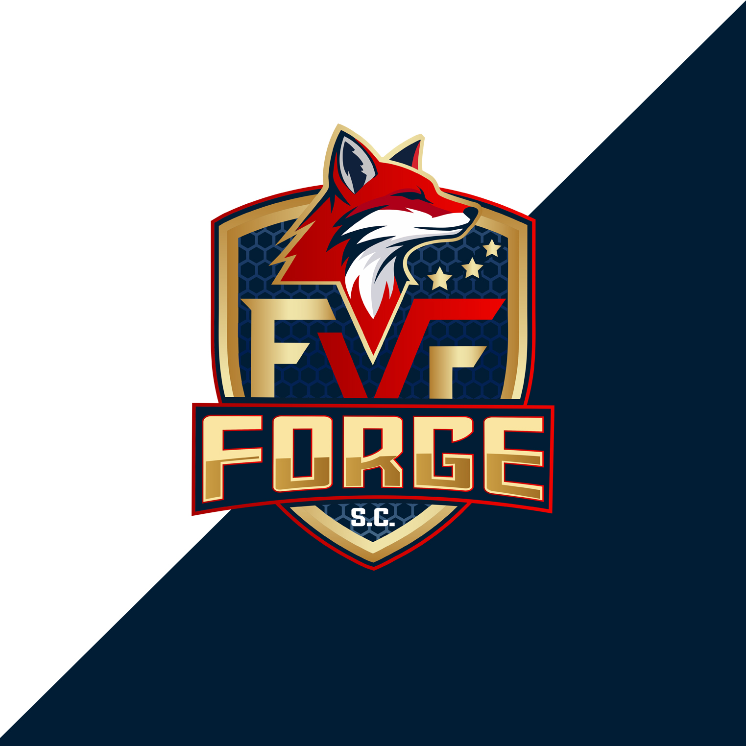 Logo Design by Jelena B for this project | Design #36283051