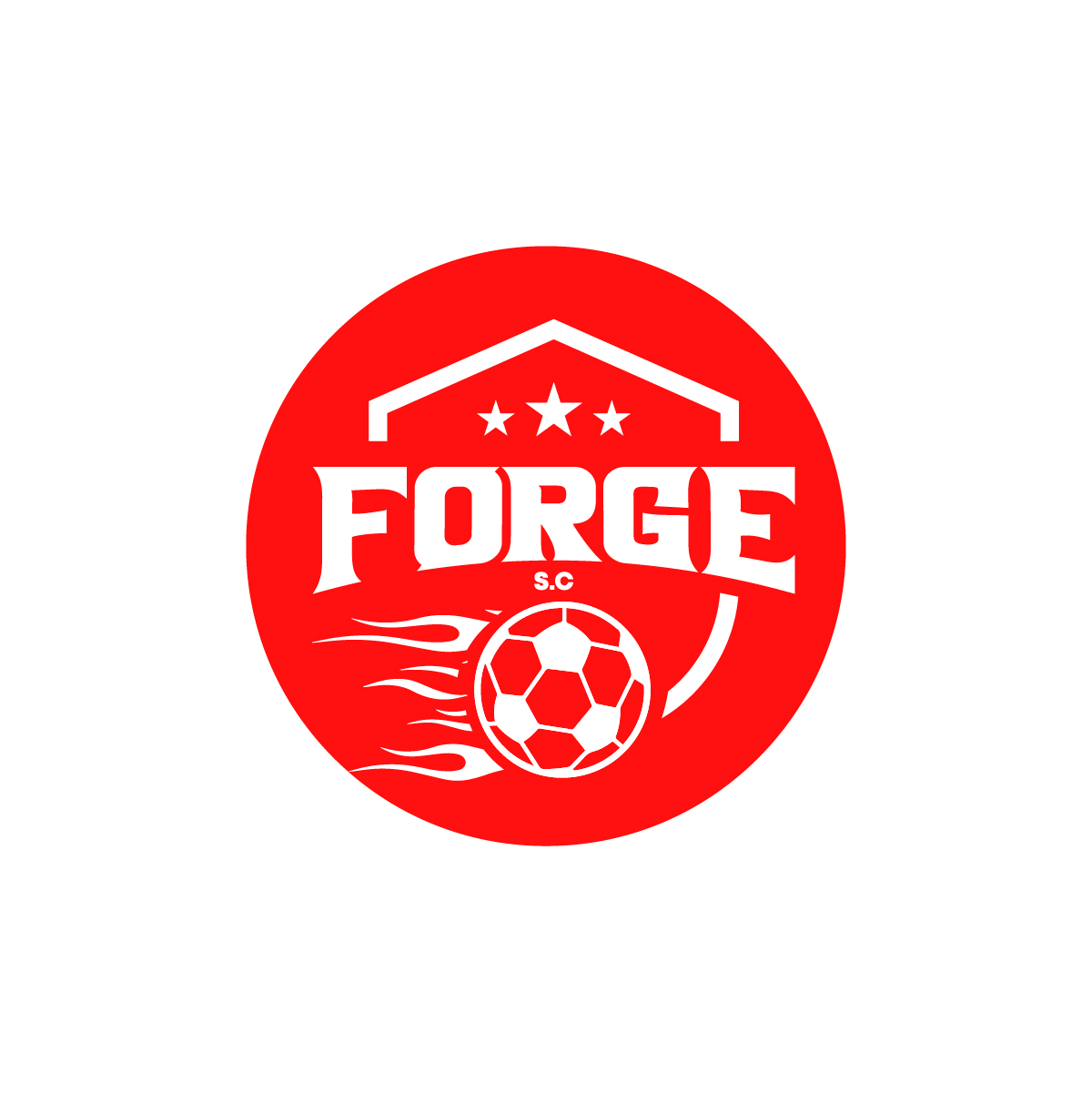 Logo Design by 99 Art.. for this project | Design #36275236