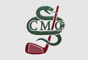 Logo-Design von Logo24.com für dieses Projekt | Design: #36279240