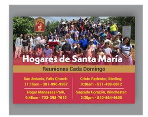 Flyer Design by designer1975 for this project | Design #36285133