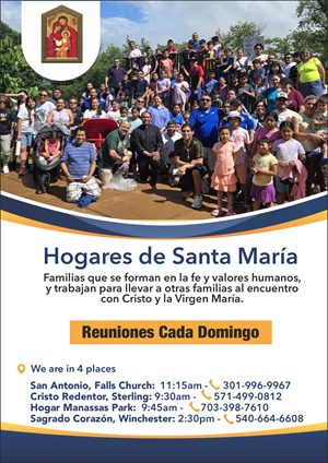 Flyer Design by fumbh.designs for this project | Design: #36281505