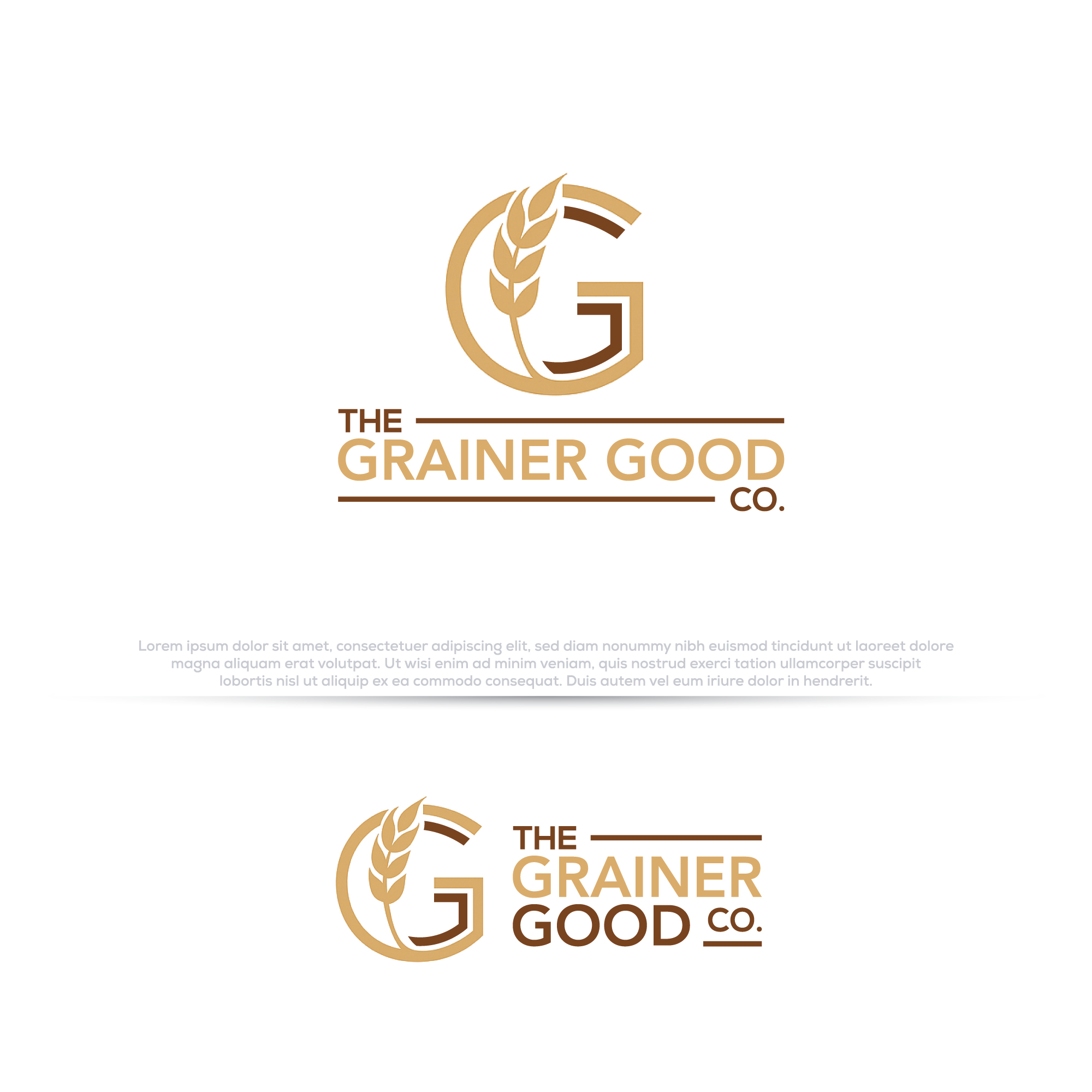 Logo Design by Pilot_DesignR™ for this project | Design #36287668