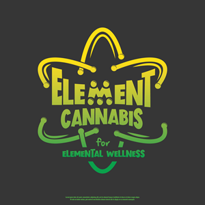 Logo Design by Storebuilder Designs