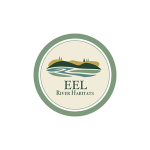 Logo Design by FK Creative