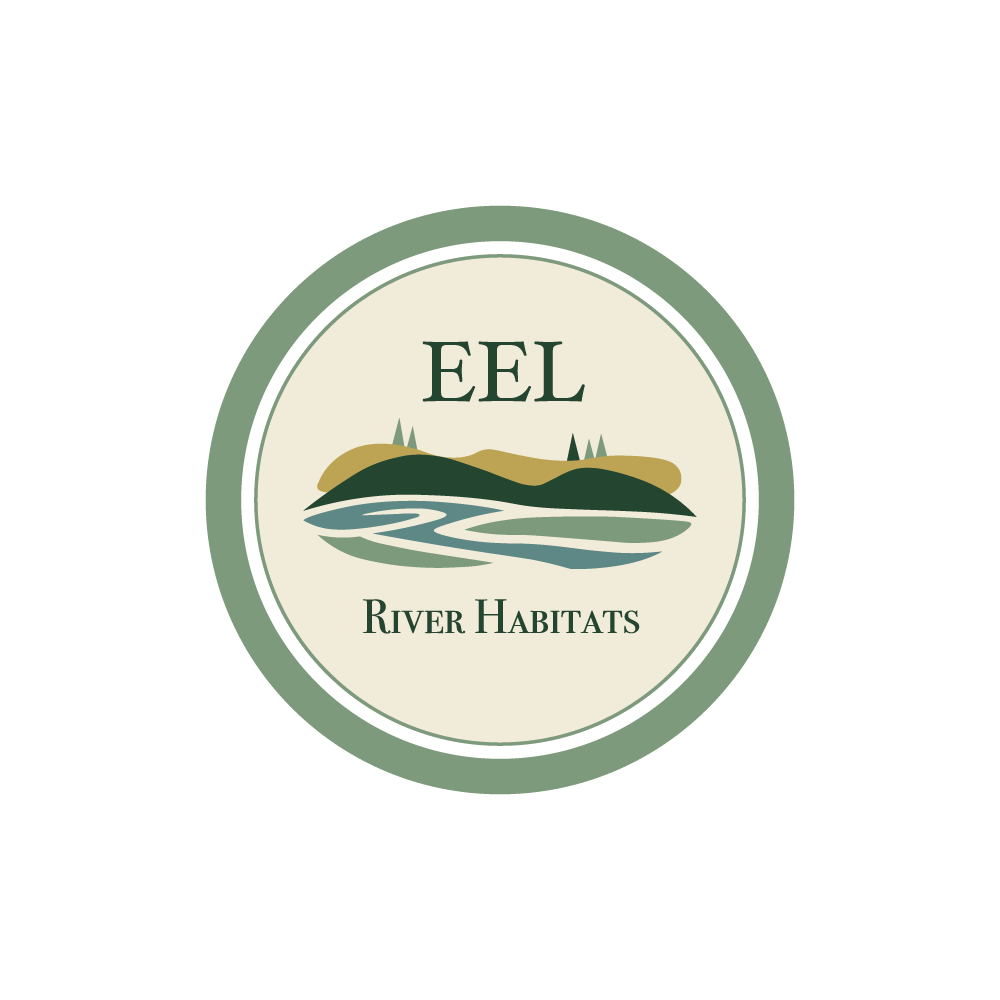 Logo Design by FK Creative for this project | Design #36305173