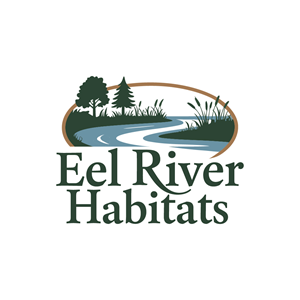 Logo Design by imdadulgraphics