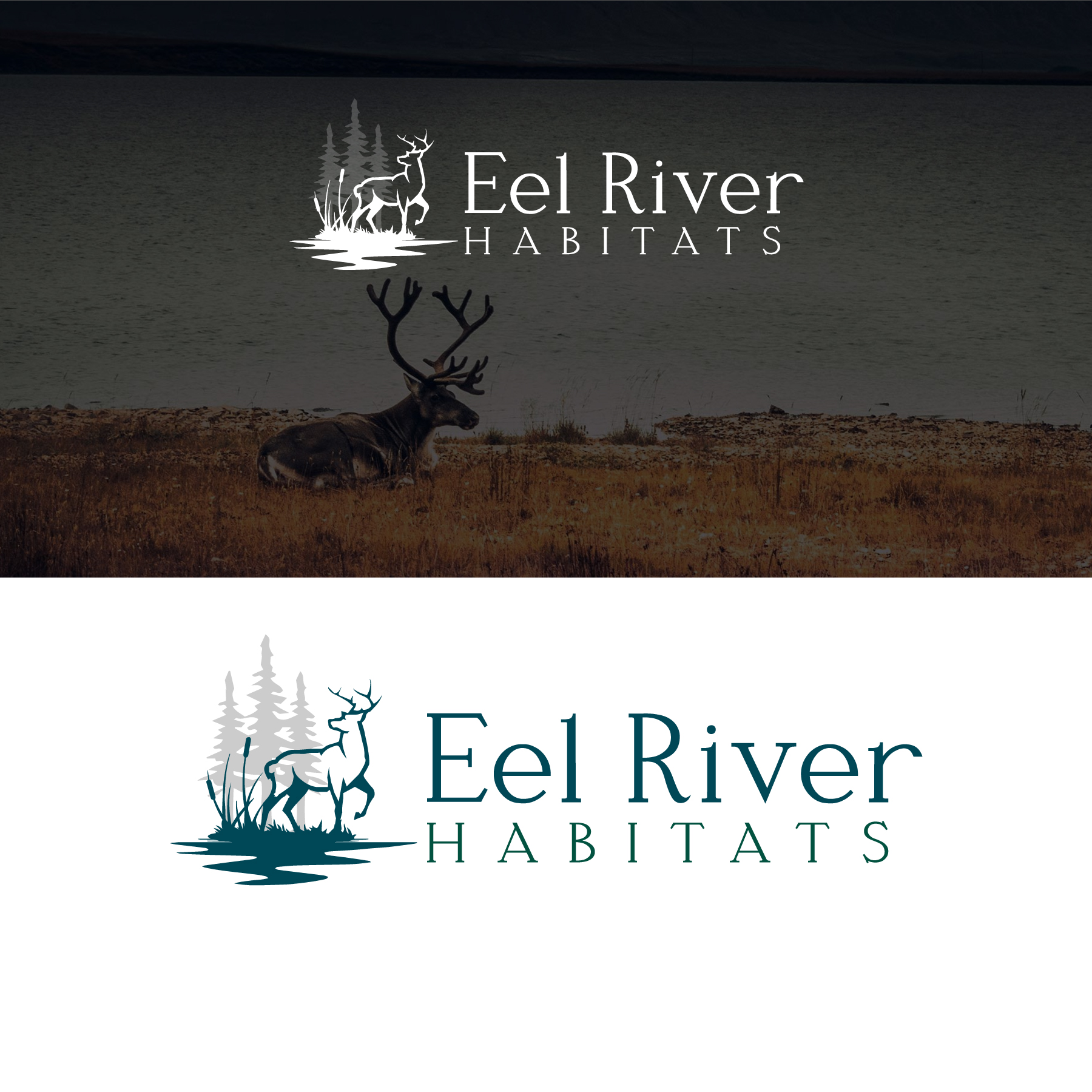 Logo Design by Pankaj Bordoloi for this project | Design #36287849