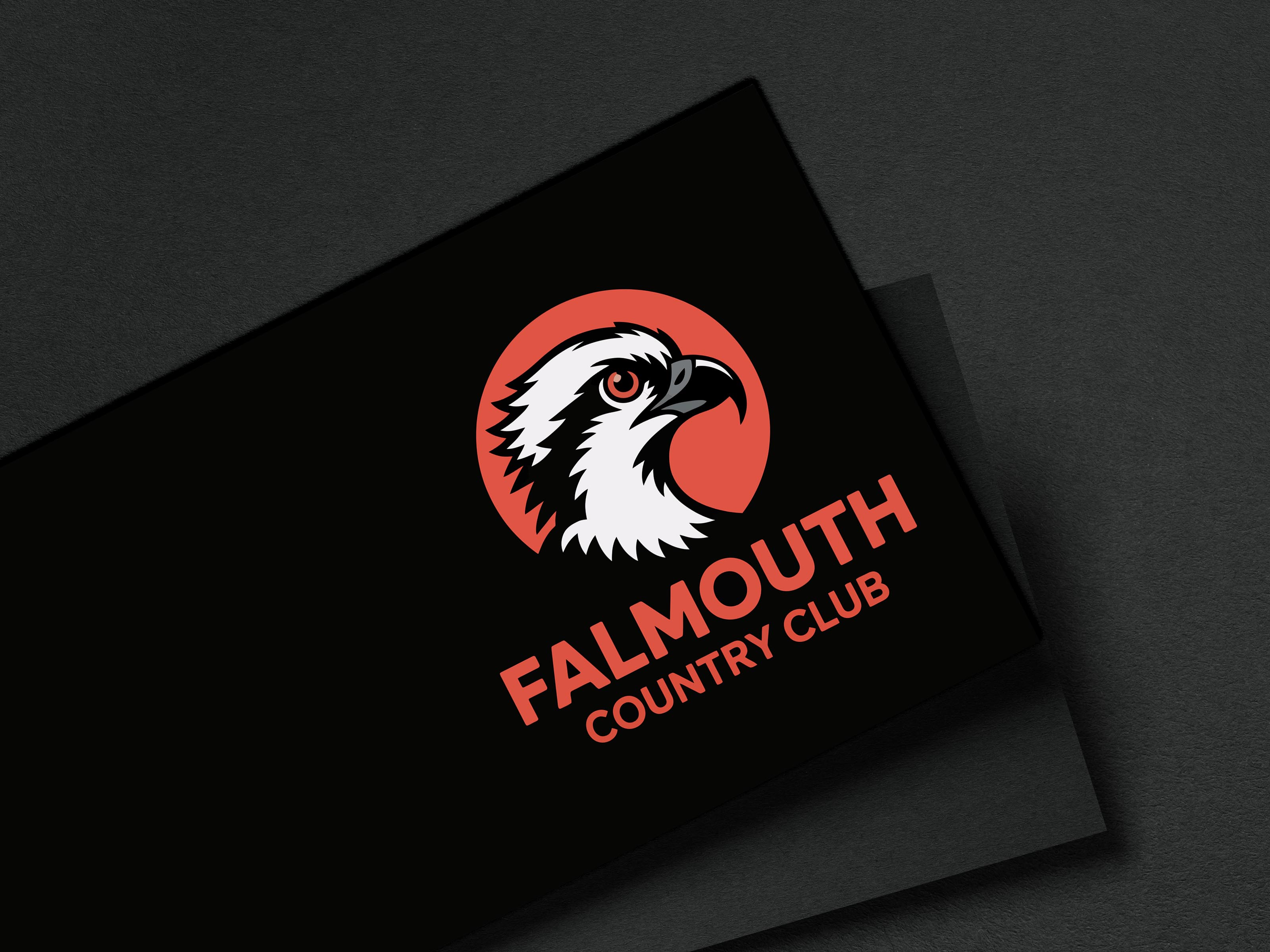 Design de Logo par PD_Designs pour ce projet | Design #36293941