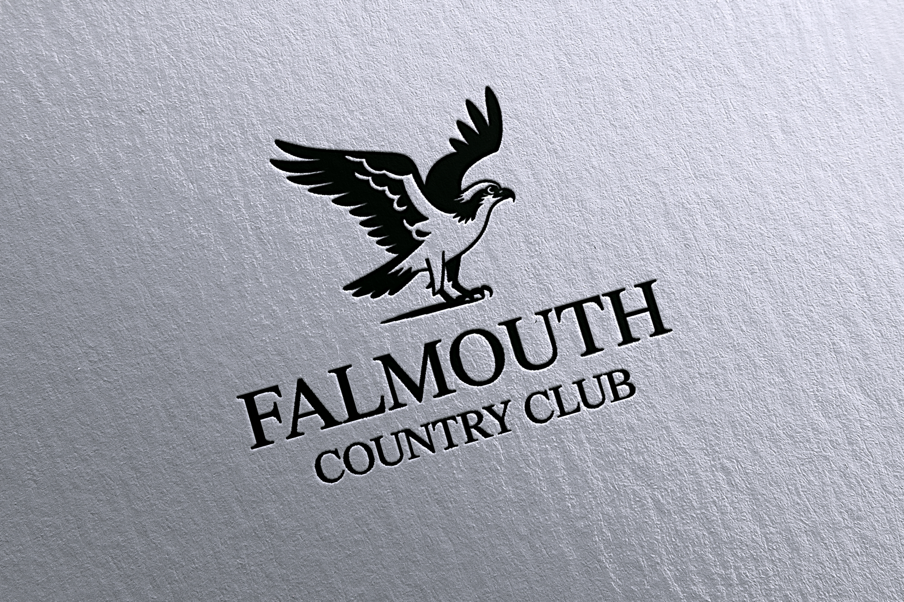 Logo Design by Ultra Creations for this project | Design #36303857