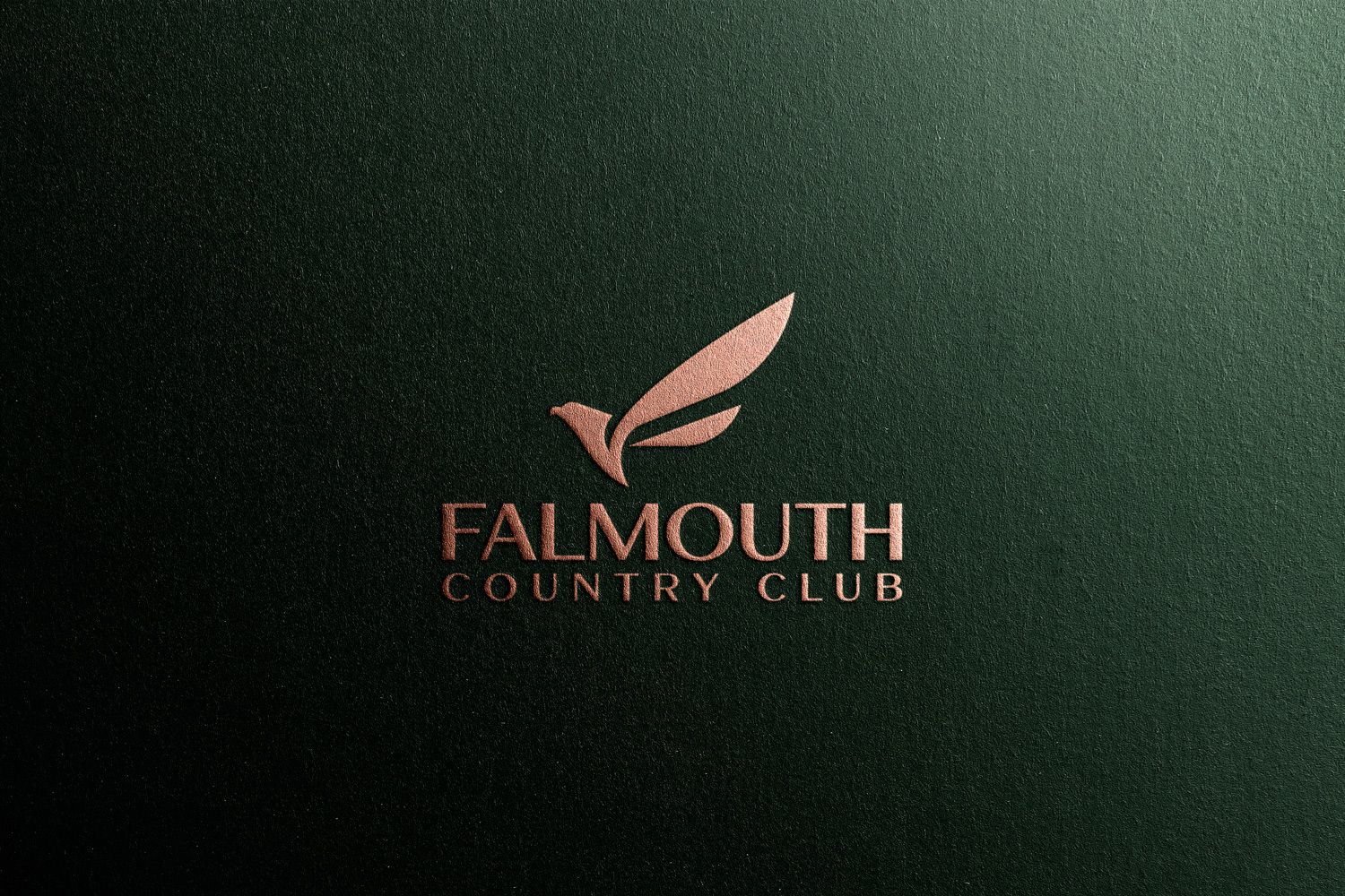 Logo Design by John316 for this project | Design #36299295