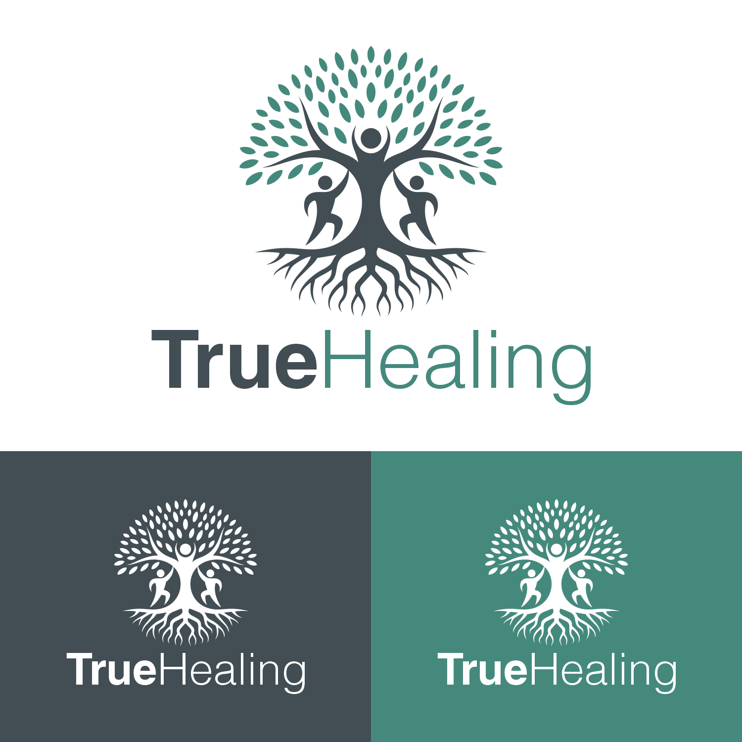 Logo Design by 16surya for this project | Design #36317912