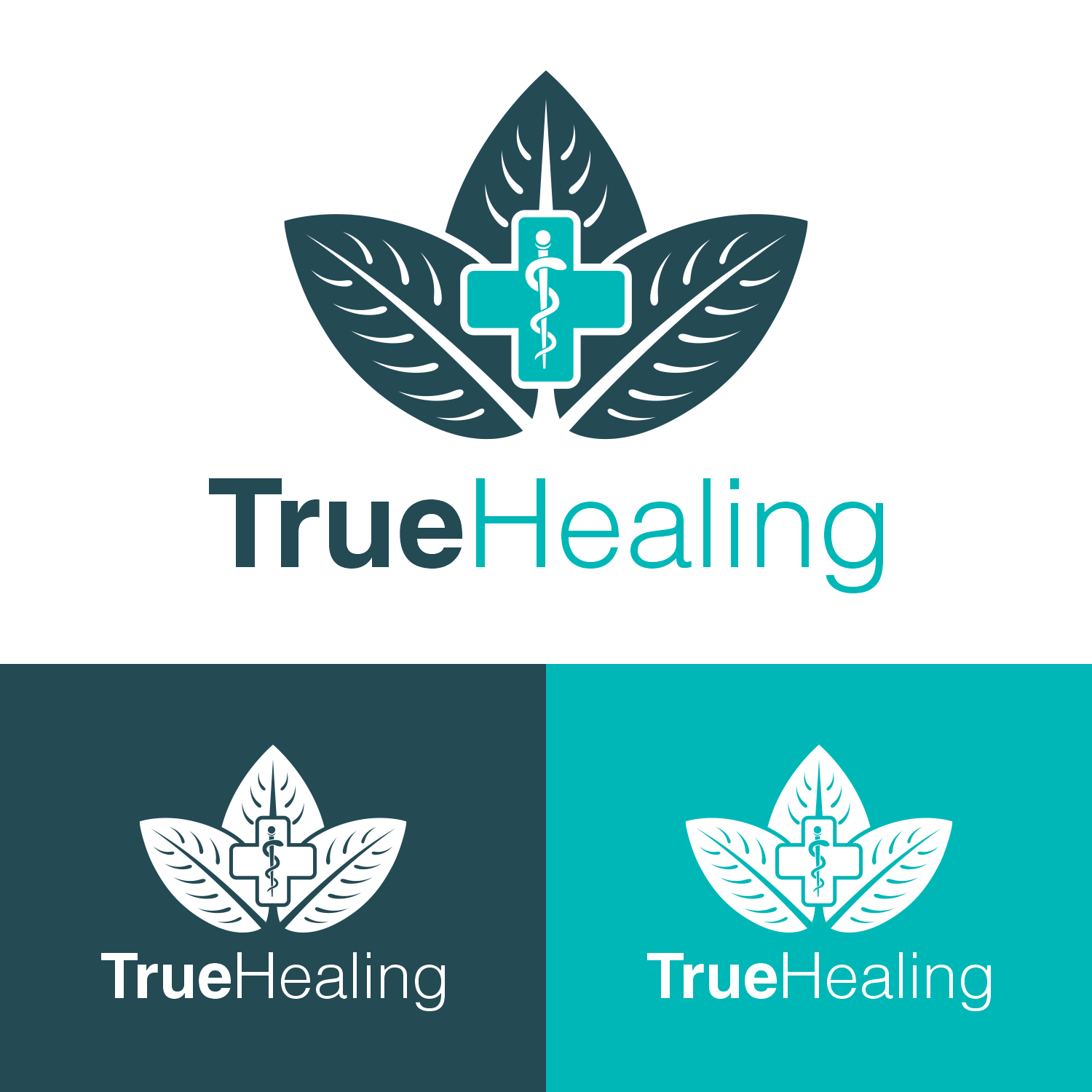 Logo Design by 16surya for this project | Design #36317940