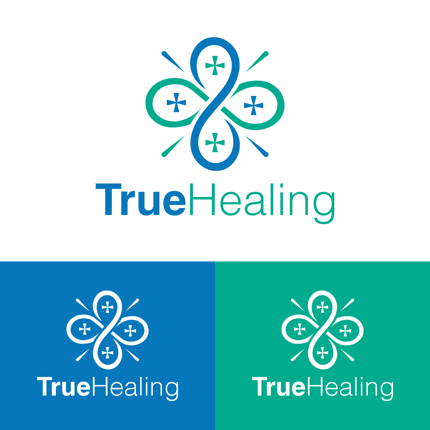 Logo Design by 16surya for this project | Design #36317977