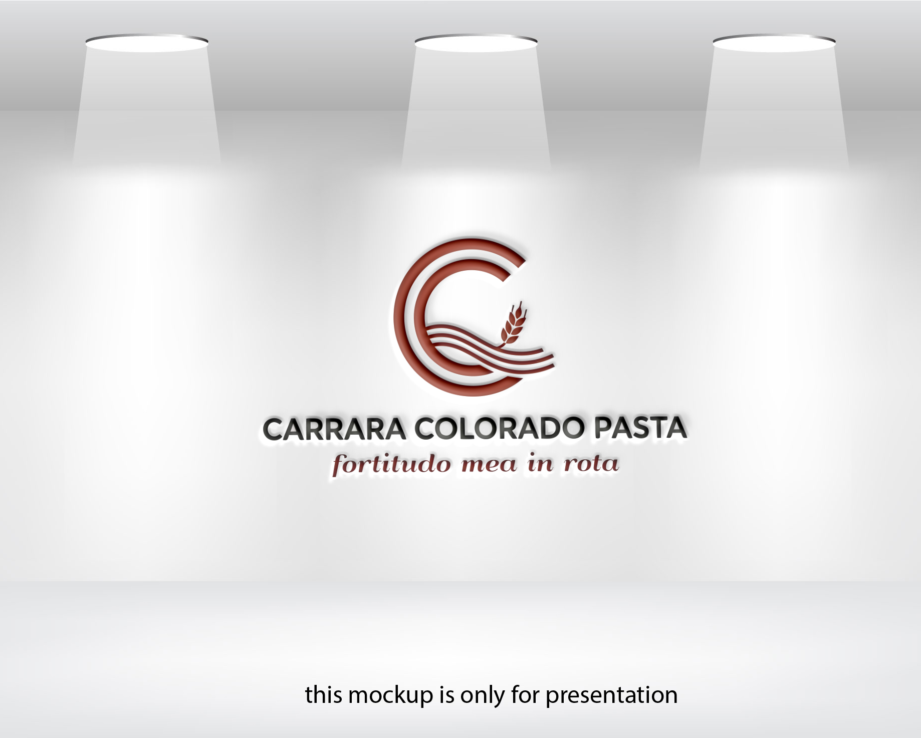 Diseño de Logo por vmeskat para este proyecto | Diseño #36306308