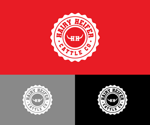 Logo Design by Ansh Design for this project | Design: #36304541