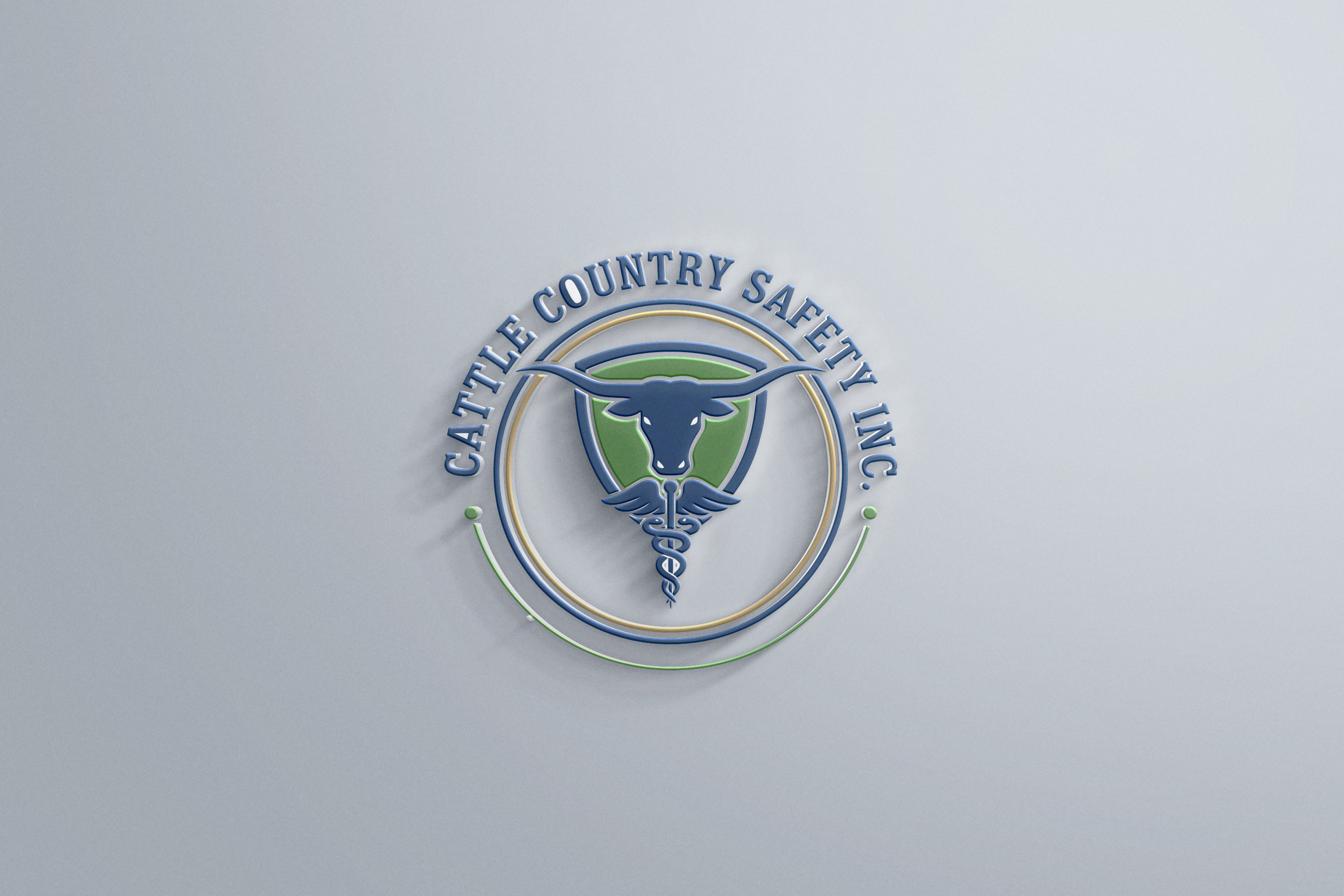 Design de Logo par Kainatpro pour ce projet | Design #36314021