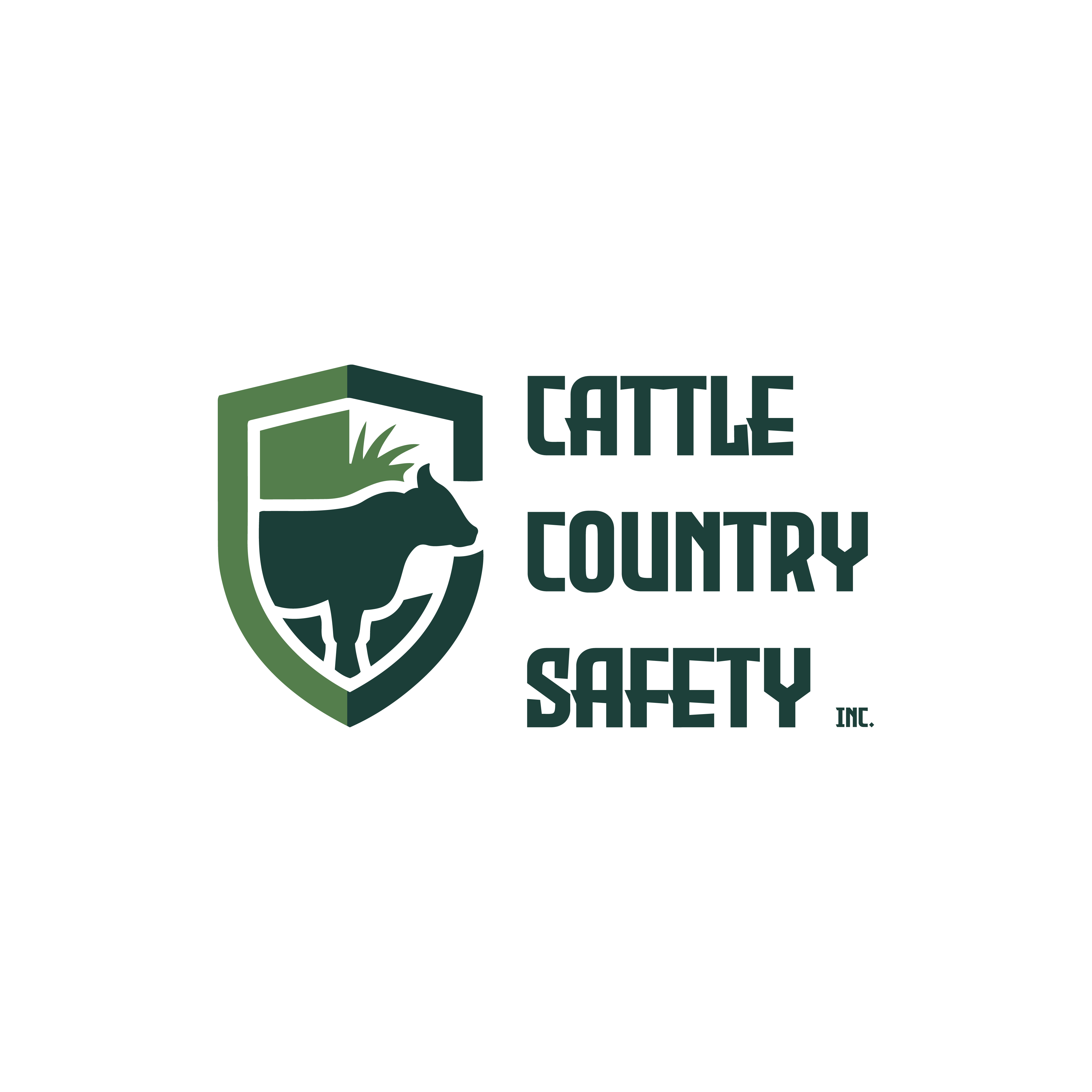 Diseño de Logo por dynamicstudio para este proyecto | Diseño #36301961