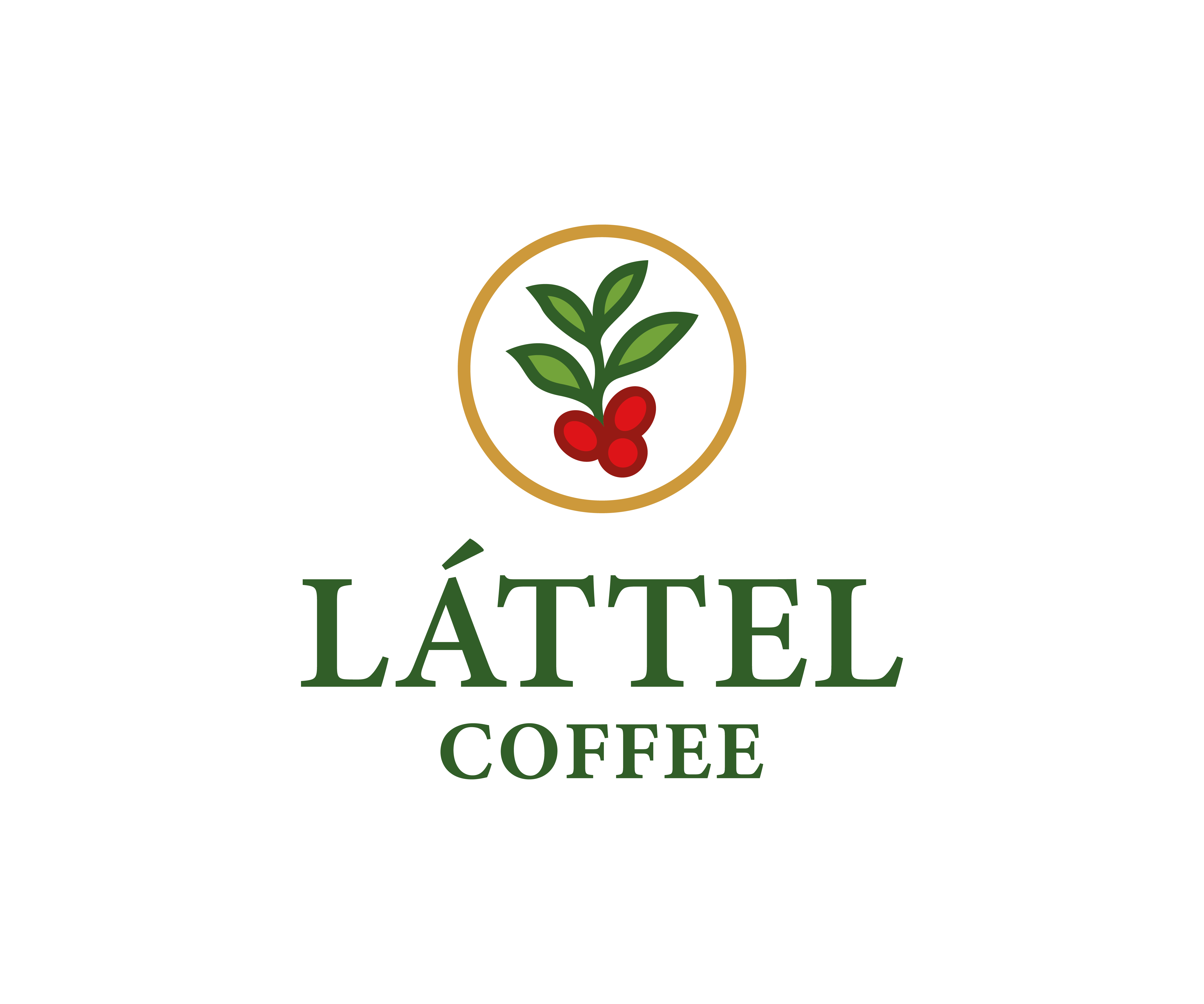 Logo Design by Taha_01 for this project | Design #36304535