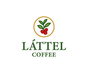 Logo Design by Taha_01 for this project | Design: #36304535