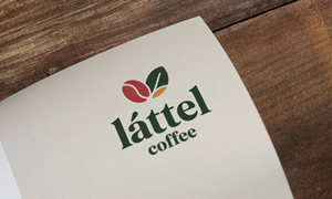 Logo Design by Loin008 for this project | Design: #36304390