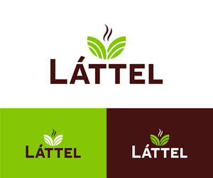 Logo Design by Ansh Design for this project | Design: #36304507