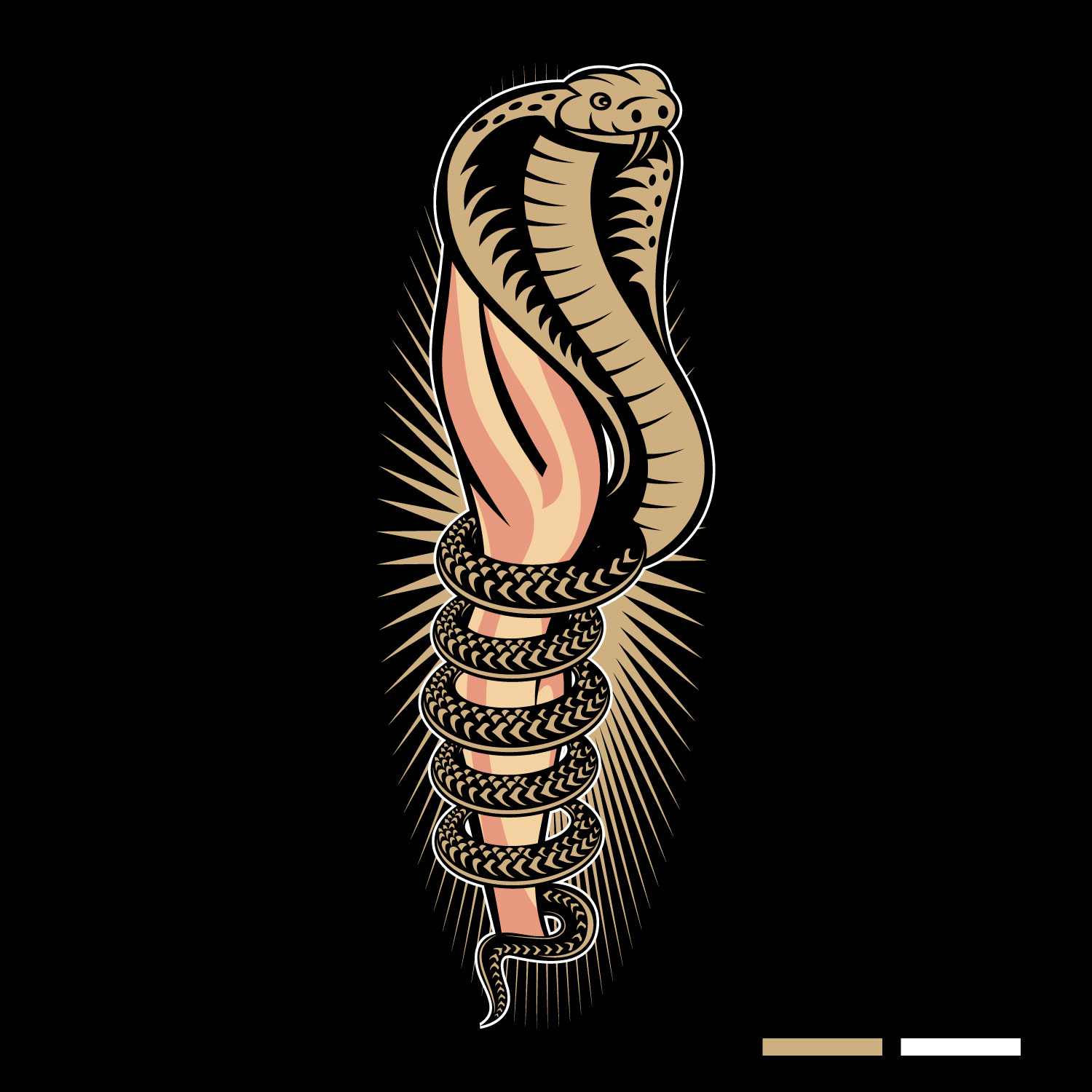 Logo Design by Suvendu.S for this project | Design #36312627