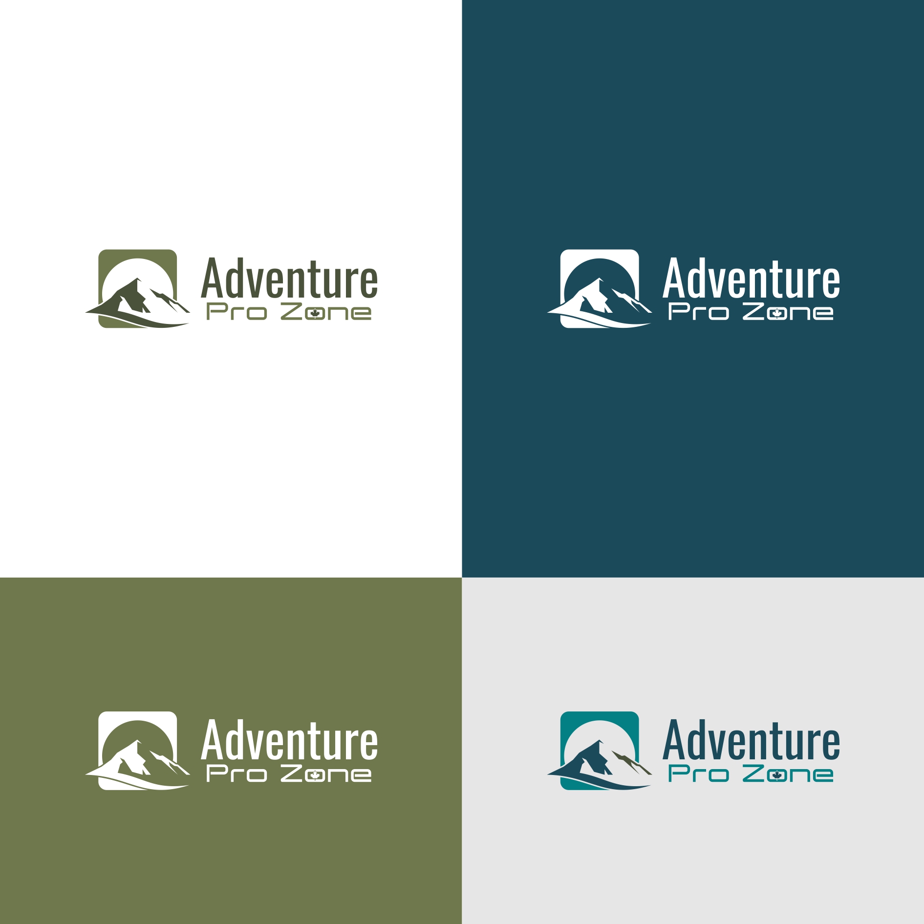Logo Design by Abici for Adventure Pro Zone | Design #36318713