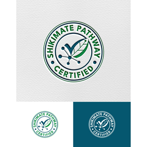 Logo Design by Fortmindz