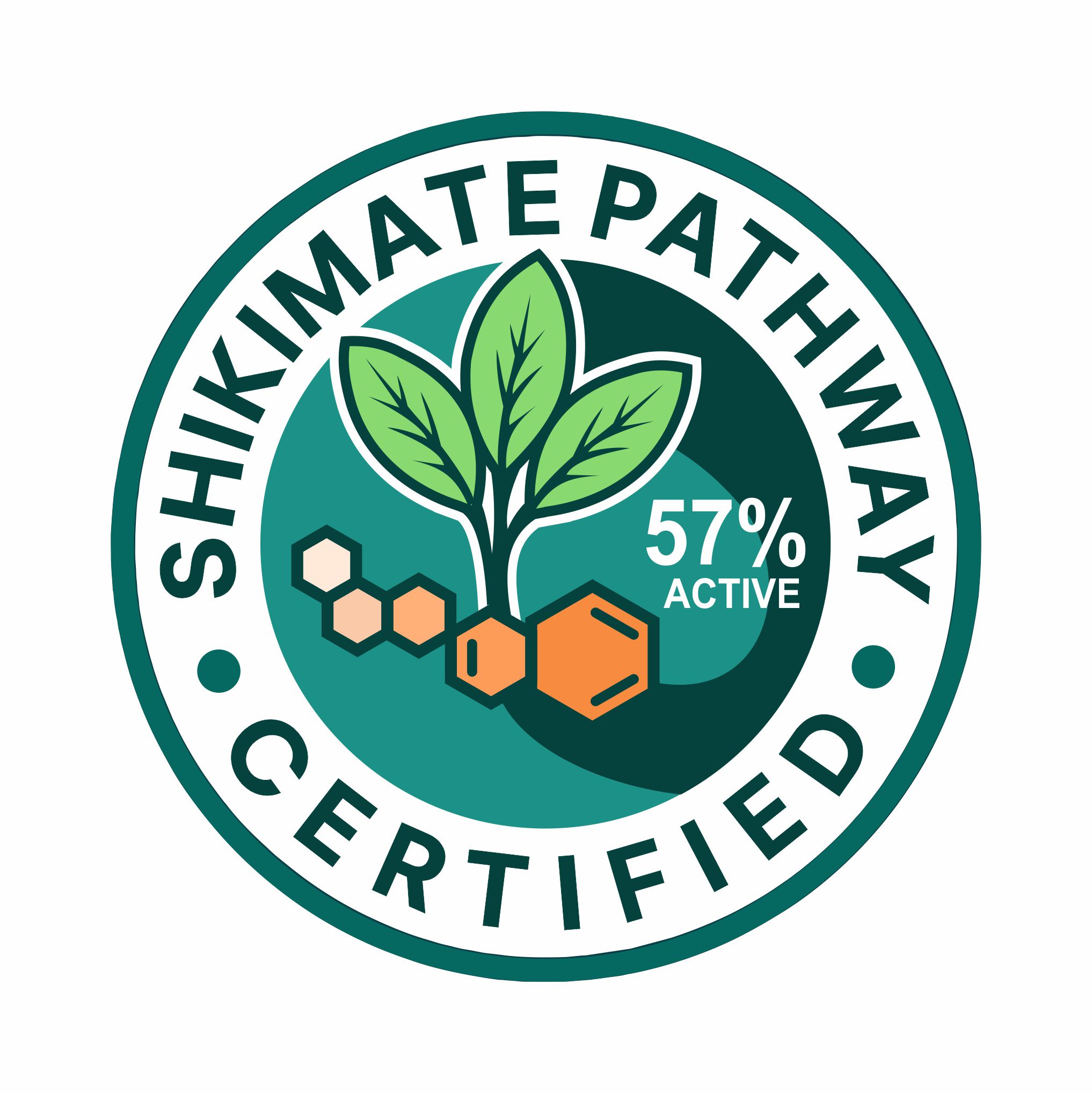 Logo Design by Borago for this project | Design #36330707