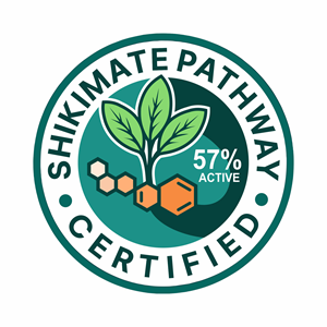 Logo Design by Borago for this project | Design: #36330707