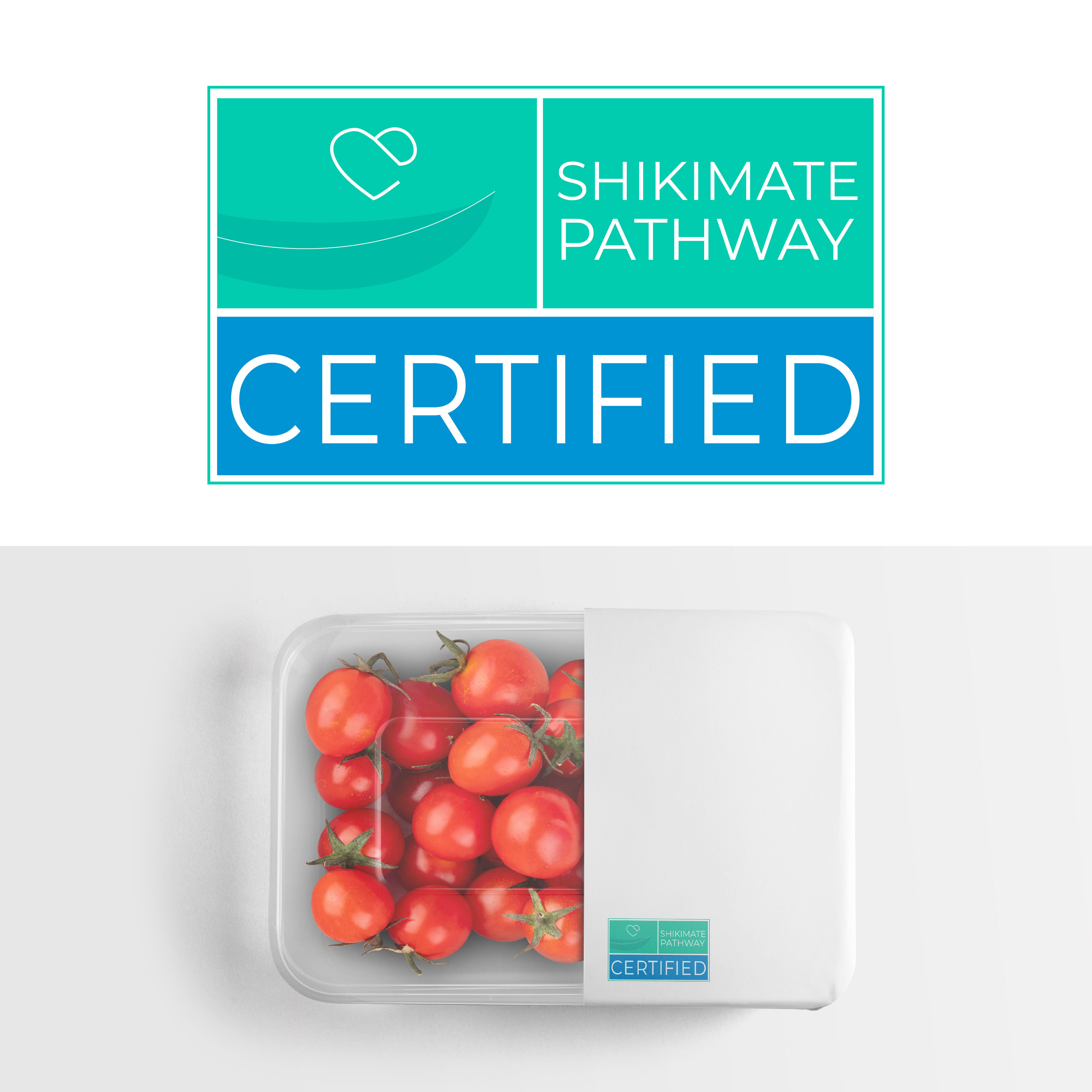 Diseño de Logo por os96i para este proyecto | Diseño #36338916