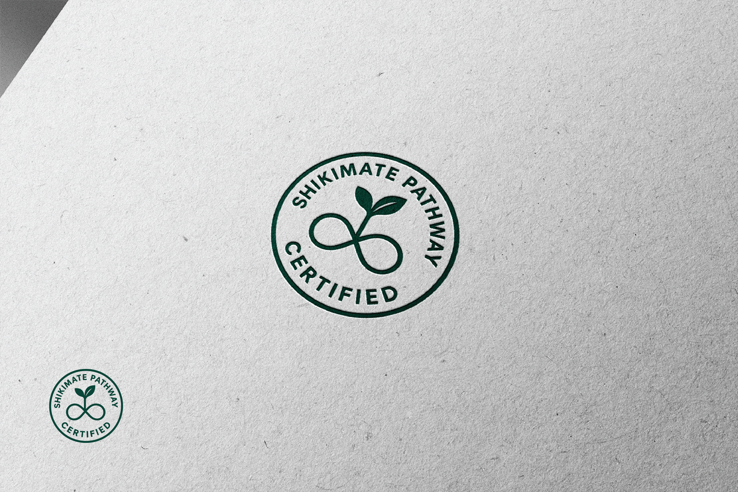 Diseño de Logo por raju.creative para este proyecto | Diseño #36326686