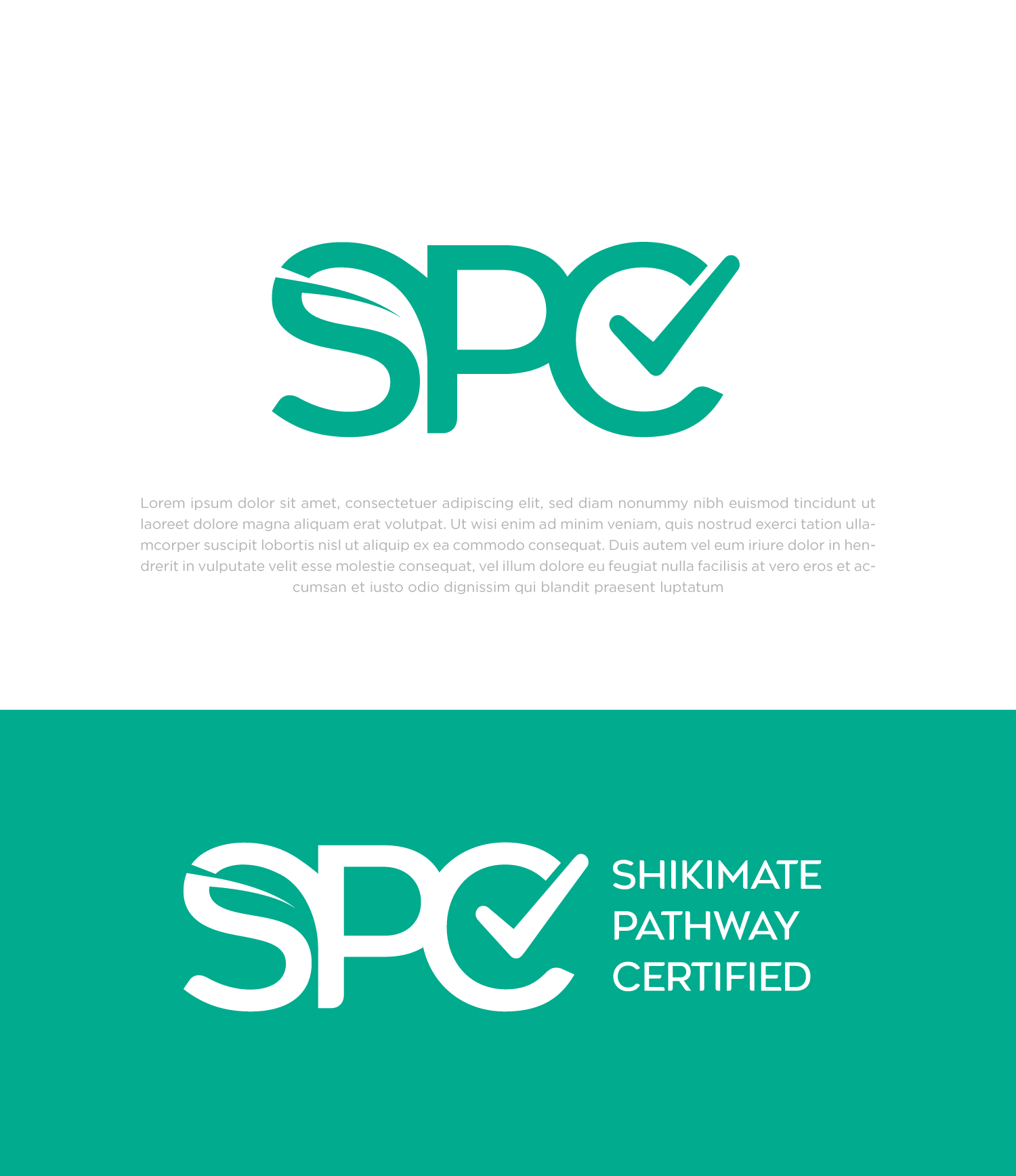 Logo Design by Abdul 20 for this project | Design #36319145