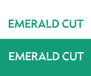 Logo Design by Adi Graphics for this project | Design: #36319547