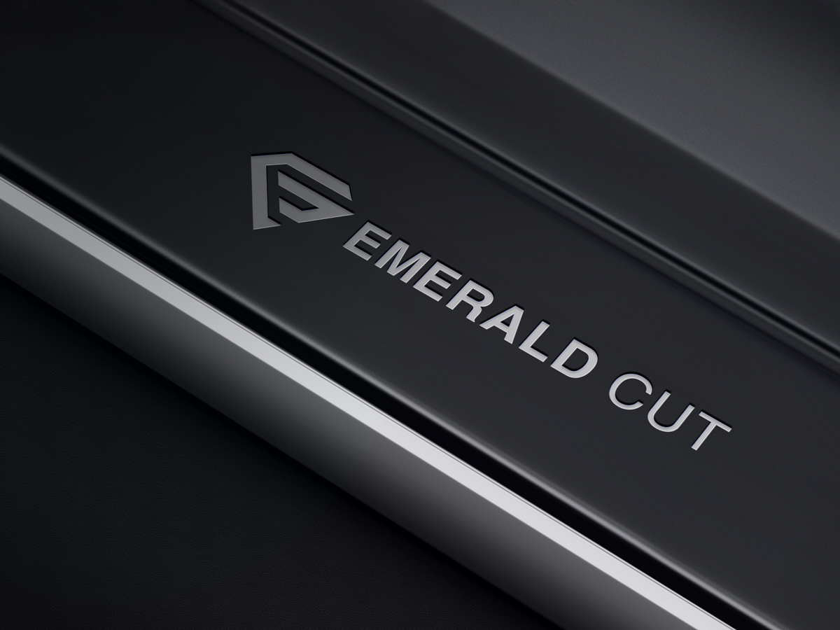 Diseño de Logo por ismail islam para este proyecto | Diseño #36319785