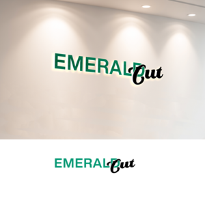 Logo Design by DesigNooox