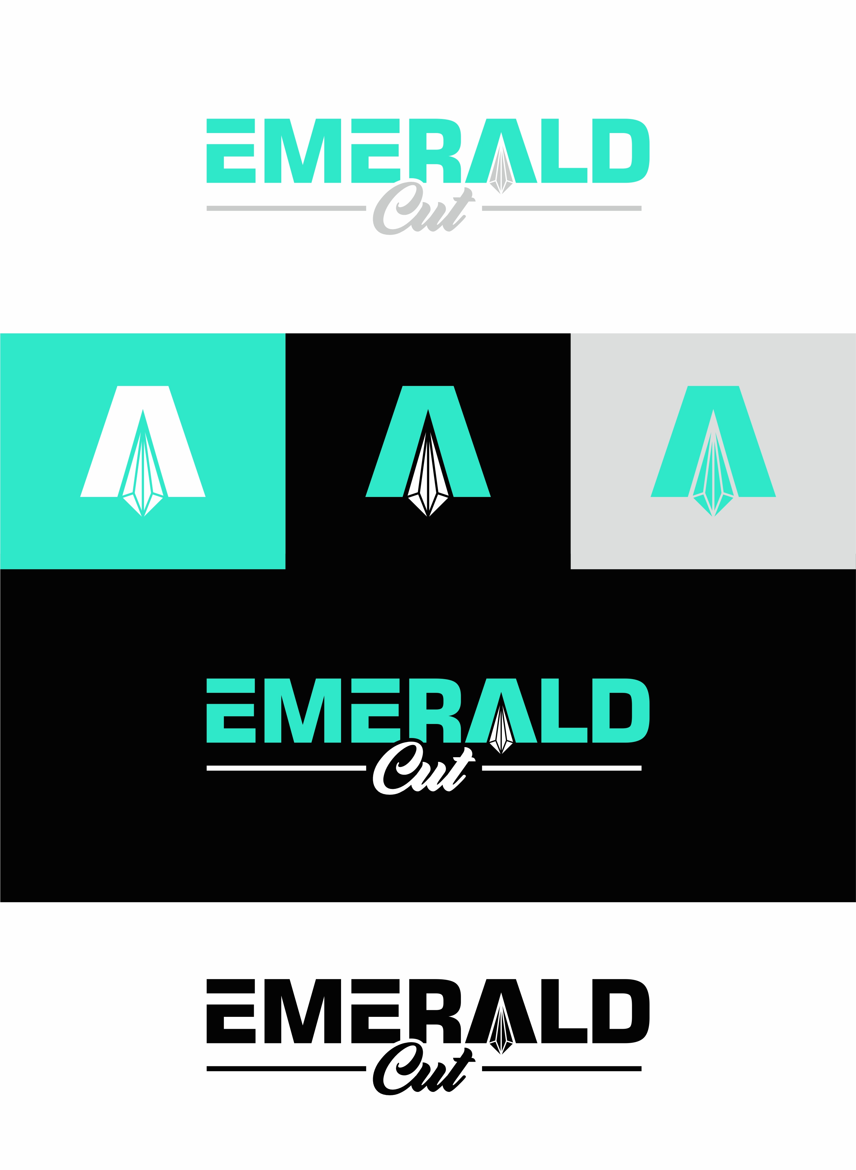 Logo Design by 1206studio for this project | Design #36320593