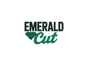 Design de Logo par yozdesign pour ce projet | Design : #36324337