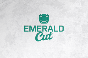 Logo Design by riya08 for this project | Design: #36321358