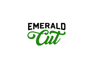 Logo Design by HSL Brain for this project | Design: #36319889