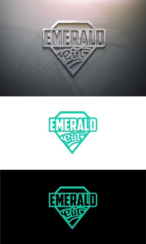 Logo Design by fly  design for this project | Design: #36323029